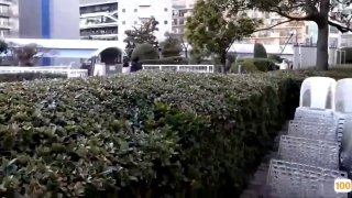 刚刚更新成人视频.色情漫画在线a 日本一区二区在线看_国产在线精品观看一区欧美国产精品不卡在线观看_国产亚洲一区二区手机在线观看